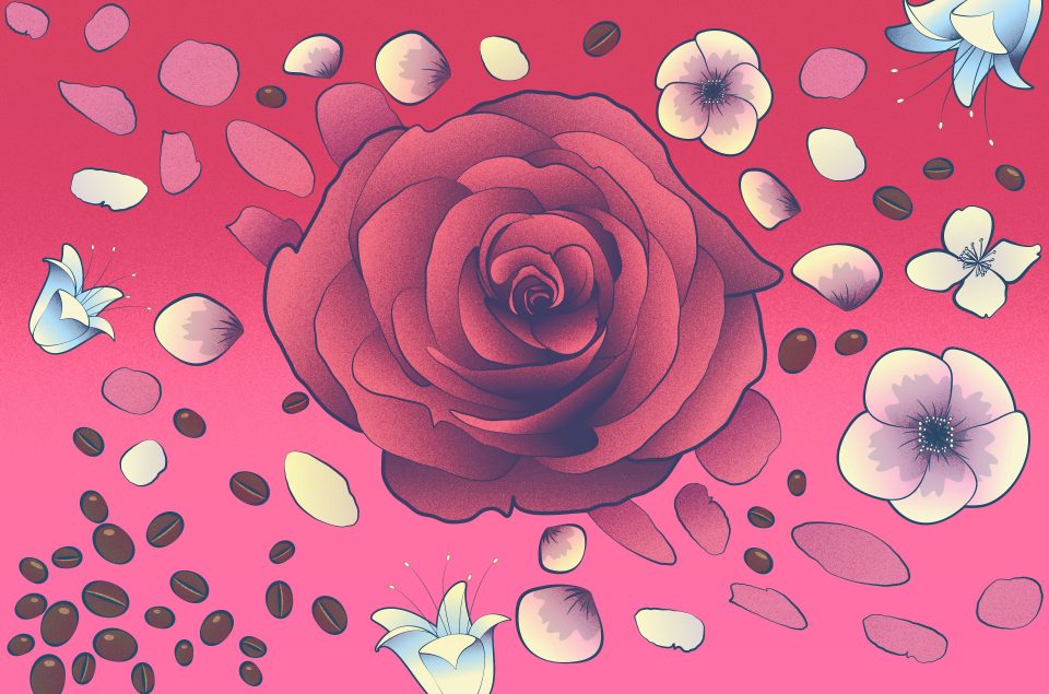 a visual of a rose that releases an scent that helps you sleep better